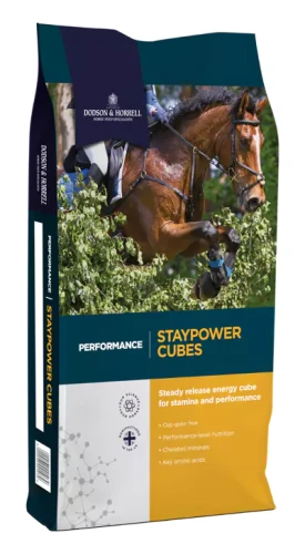 DODSON & HORRELL Staypower Cubes 20kg granulat dla koni sportowych