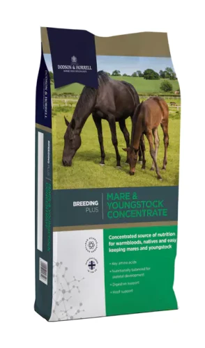 DODSON & HORRELL Mare & Young Concentrat 20kg koncentrat dla koni hodowlanych