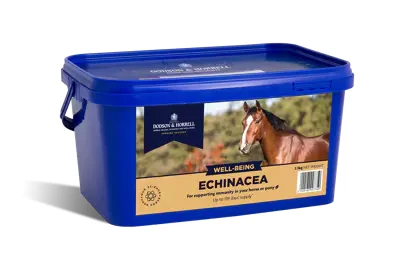 DODSON & HORRELL Echinacea 1kg wsparcie odporności u koni