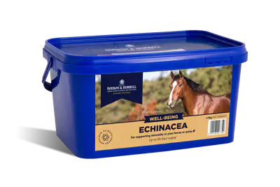 dodson-amp-horrell-echinacea-1kg.webp