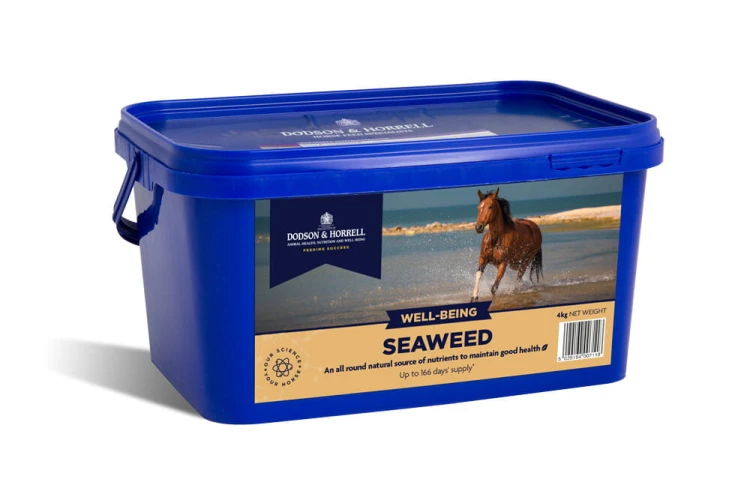 dodson-amp-horrell-seaweed-2kg.jpg