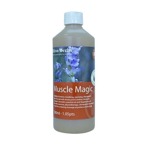 Hilton Herbs Muscle Magic 500ml wcierka z arniką