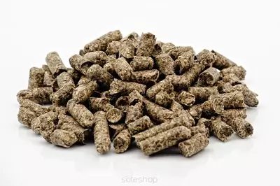 wyslodki-buraczane-niemelasowane-10kg.webp