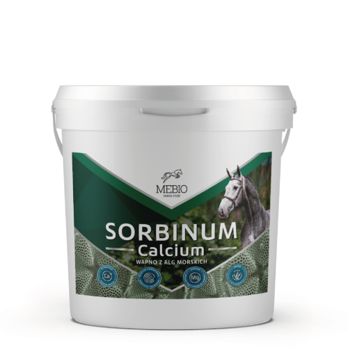 Calcium-sorbinum_Obszar-roboczy-1-1024x1024.png