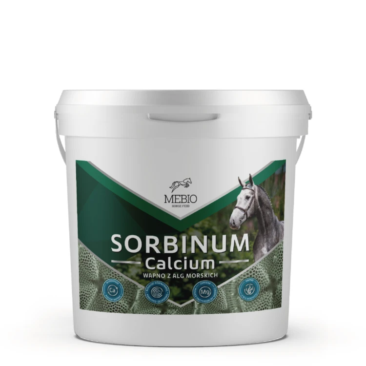 Calcium-sorbinum_Obszar-roboczy-1-1024x1024.png
