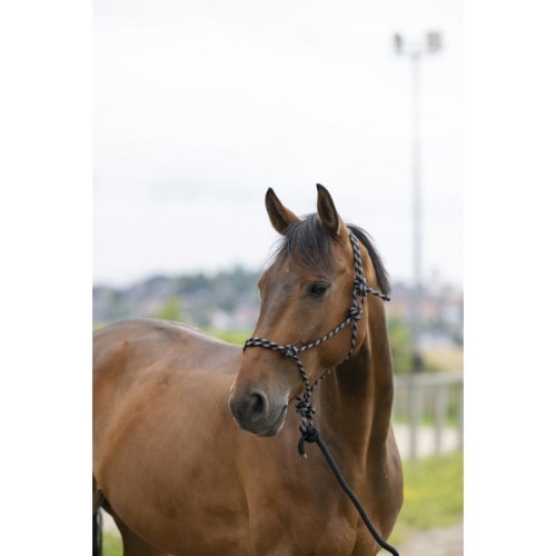 Halter + lina "ECO" 