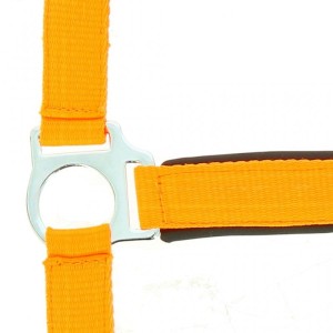 Kantar Norton "Fluo" 