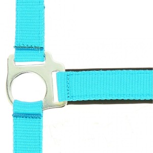 Kantar Norton "Fluo"  