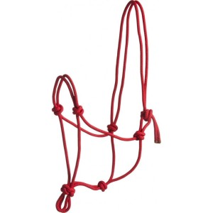 Halter dla konia FIRST 