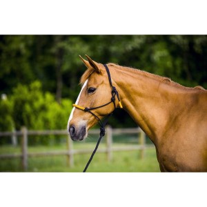 Kantar sznurkowy z liną "Fun Colour"  