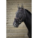 Ogłowie Norton "Fin" 