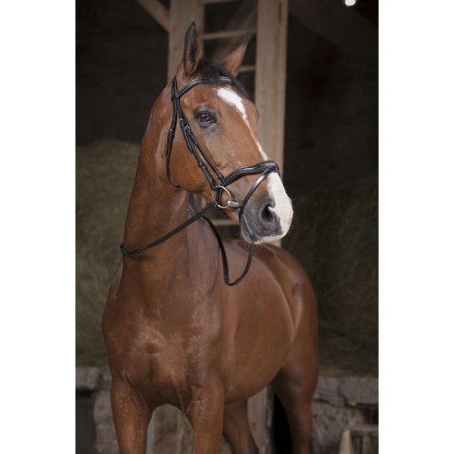 Wodze NORTON PRO "SUPERGRIP”