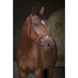 Ogłowie Norton "Vague" 