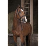 Wodze NORTON PRO 13mm  