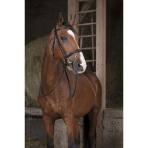 Wodze NORTON PRO 13mm  