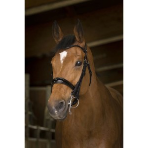 Ogłowie NORTON PRO WEYMOUTH