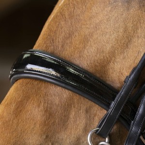 Ogłowie NORTON PRO WEYMOUTH