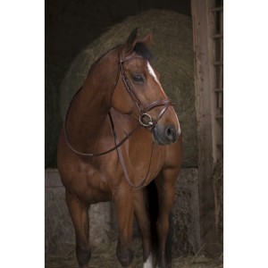 Wodze NORTON PRO WIDE