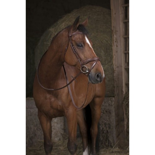 Wodze NORTON PRO WIDE