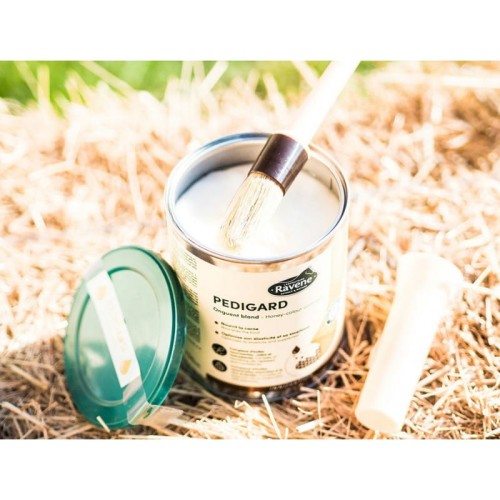 PEDIGUARD RAVENE 2,5l - jasna maść do kopyt 