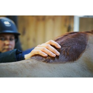 RAVENE KINESYL 250ml - żel do masażu