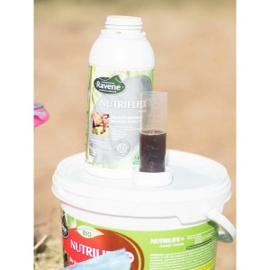 RAVENE NUTRIFLEX 500ml - preparat wspomagający stawy