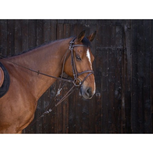 Gogue Riding World "Pulleys" 