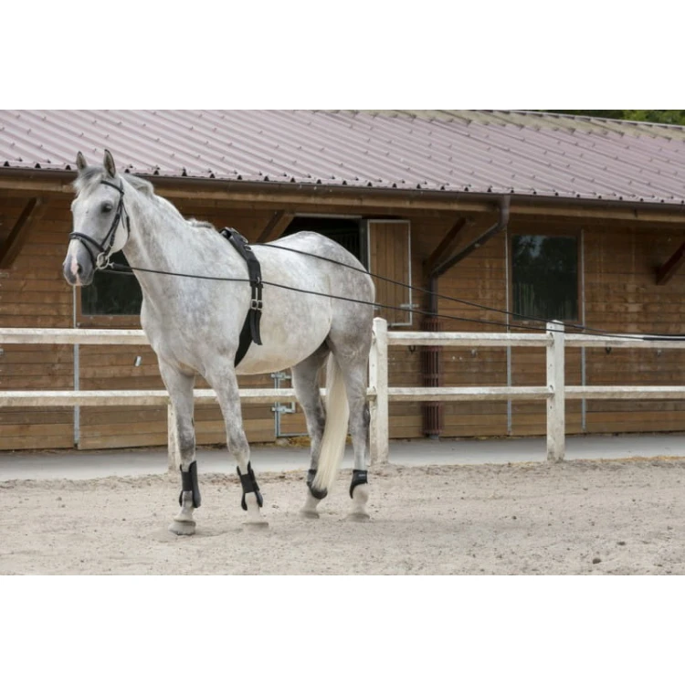 riding-world-leather-rope-reins.jpg
