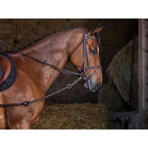Wypinacze sztywne RIDING WORLD 