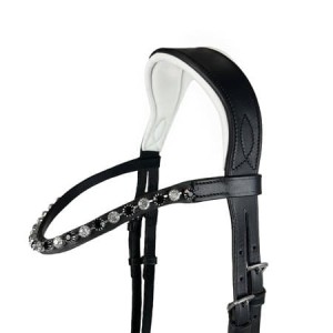 Tranzelka York Alesja