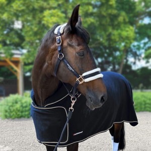 Derka Horsenjoy Show 