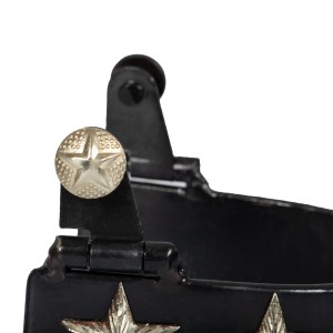 Ostrogi westernowe Pool's STRS