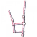 Kantar "Foal" dla źrebaka