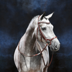 Ogłowie skórzane "Modena" 