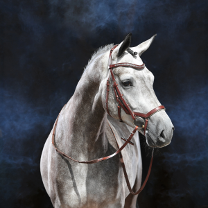 Ogłowie skórzane "Modena" 