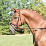 Ogłowie skórzane "Matera" 