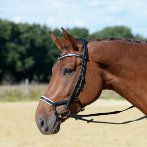 Ogłowie skórzane"Emotion"