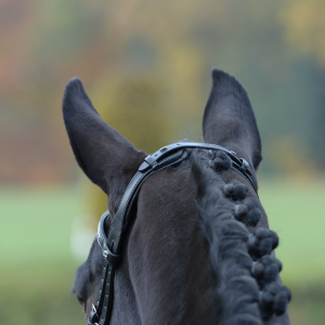 Ogłowie skórzane"Emotion" 