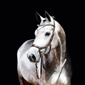 Ogłowie skórzane"Emotion"  