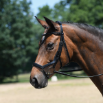 Ogłowie skórzane "Feeling" 