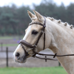 Ogłowie skórzane "Comfort Plus"