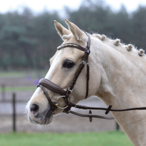 Ogłowie skórzane "Comfort Plus"