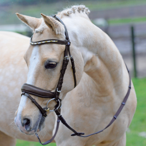 Ogłowie skórzane "Comfort Plus"