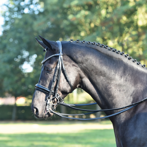 Ogłowie munsztukowe "Luxury" 