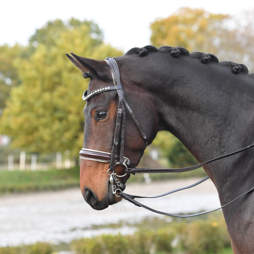 Ogłowie munsztukowe "Luxury" 