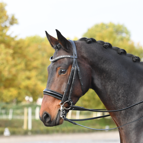 Ogłowie munsztukowe "Luxury" 