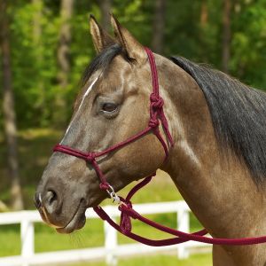 Kantar sznurkowy RINGE 