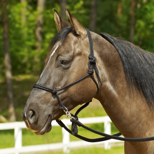 Kantar sznurkowy RINGE 