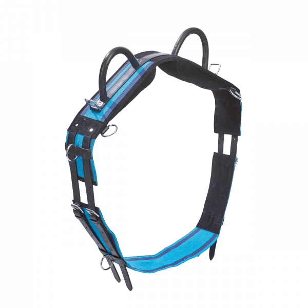TN129203_bg3 (1).png