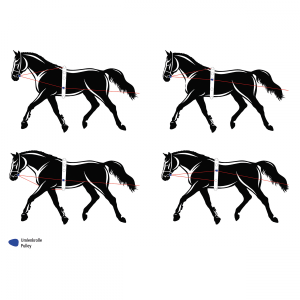 Podwójna lonża SOFT-UMLENKROLLEN 18m